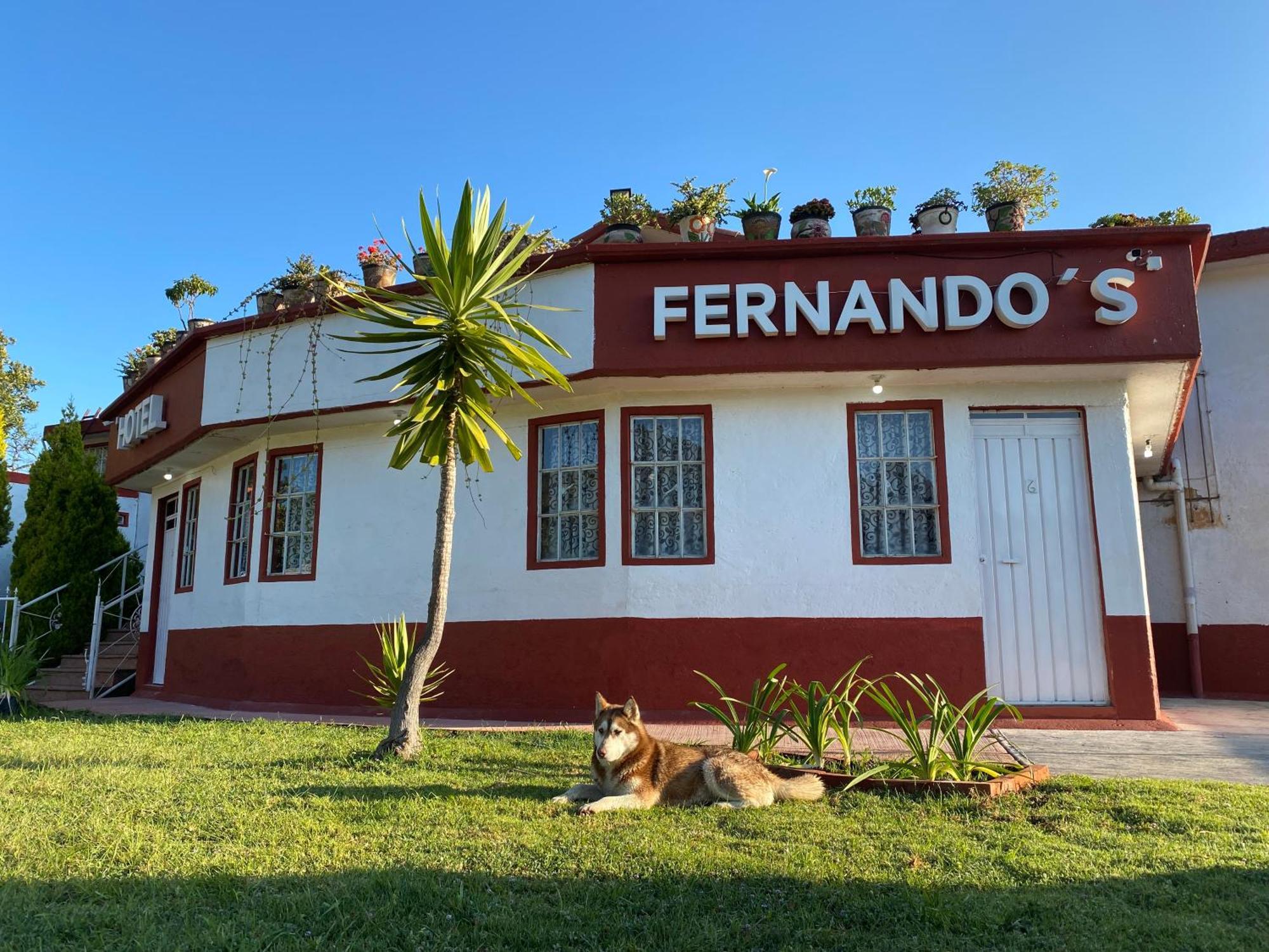 Hotel Fernando'S Tlalpujahua de Rayón Dış mekan fotoğraf